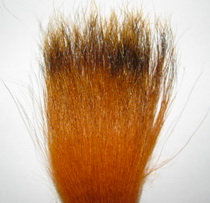 ������  / badger fur sunburst